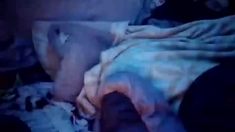 apocolypseanomaly online show from 16, 12, 2024