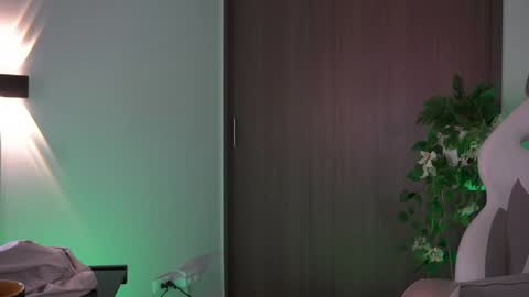 insta appolo master online show from 19, 12, 2024