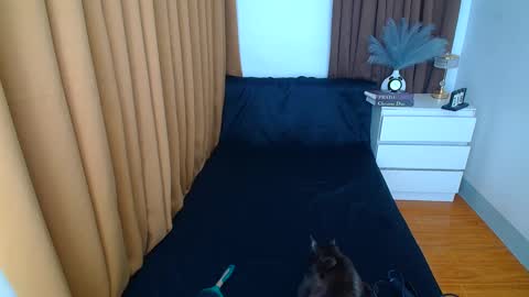 ARABELLA online show from 9, 3, 2025