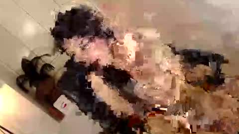 ARABELLA online show from 2, 6, 2026