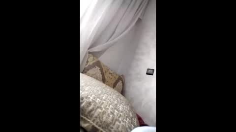 arabicsex12 online show from 11, 1, 2026