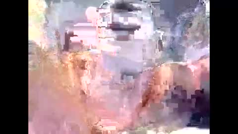 arcade76 online show from 12, 2, 2025