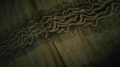 Snapshot of archkeinzas chatting on 24, 11, 2025 olo online show from 24, 11, 2025