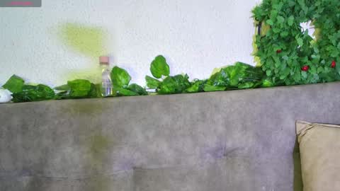 ari online show from 11, 12, 2024