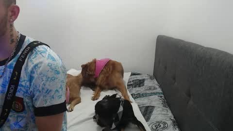 ariana_esteban07 online show from 6, 2, 2026