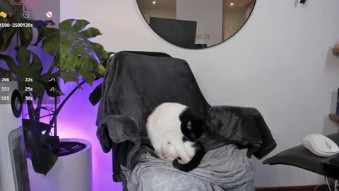 DaniAri - dimension X at night NY time online show from 28, 1, 2025