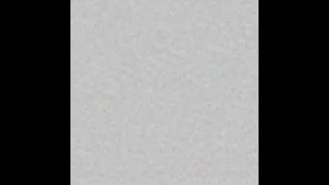 Arianna Collins online show from 12, 10, 2025