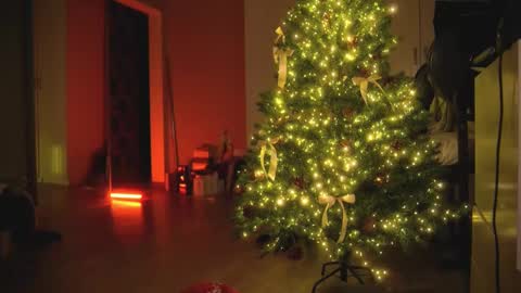 Olivka online show from 30, 12, 2024