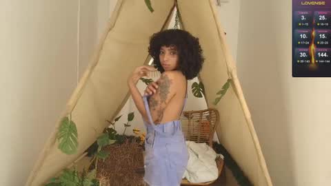 A R I   online show from 7, 1, 2026