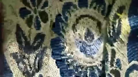 arshkhant987 online show from 31, 1, 2026