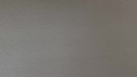 ash123400000 online show from 12, 2, 2026