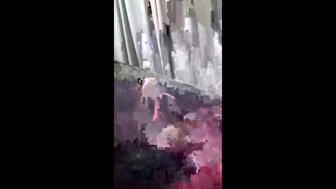 asian_erick online show from 15, 12, 2025