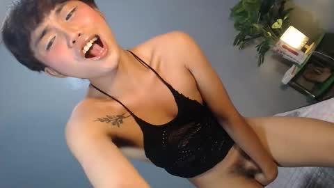 Reyshell online show from 4, 2, 2026