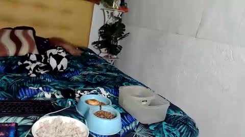 asianladyboy888 online show from 24, 11, 2025