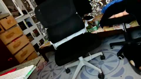 Trish online show from 1, 12, 2025