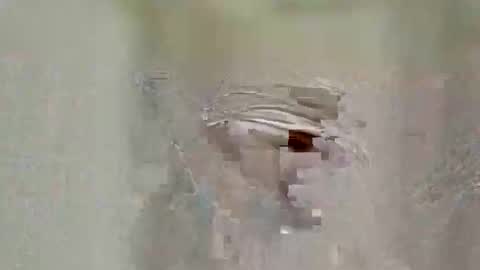 asifzamma online show from 25, 4, 2026