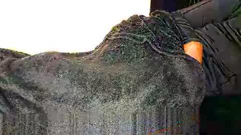 Assiology online show from 12, 3, 2025