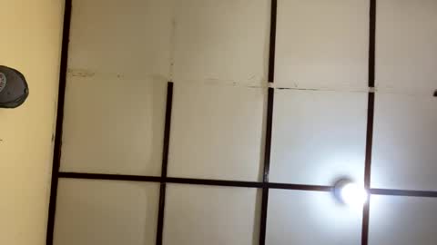 Robin online show from 6, 4, 2026