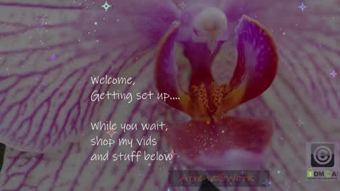 Atrena online show from 13, 1, 2026