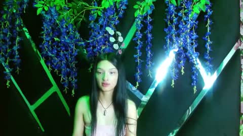 aurora online show from 11, 9, 2025