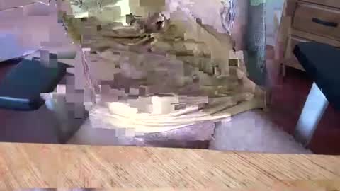 Rich online show from 5, 3, 2025