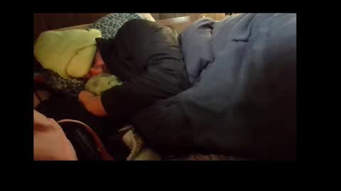 Senior Agua online show from 4, 12, 2024