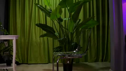 Snapshot of ava_solis chatting on 2, 8, 2026 Ava online show from 2, 8, 2026