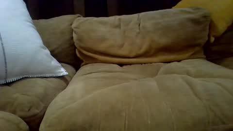 averagecock696969 online show from 23, 2, 2025