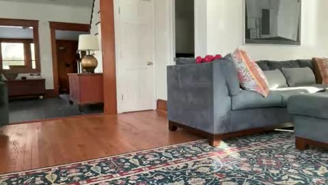 avgdiver online show from 12, 2, 2026