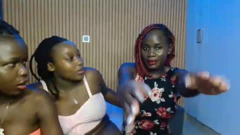 Avian online show from 12, 11, 2025