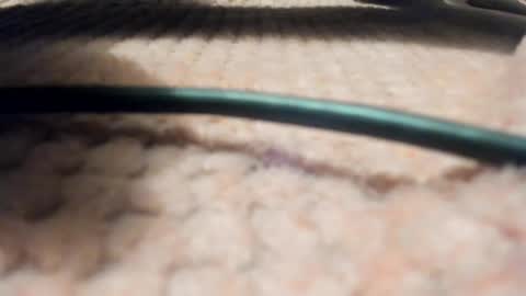 Axell online show from 28, 3, 2026