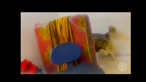 deliciosodemente online show from 4, 2, 2026