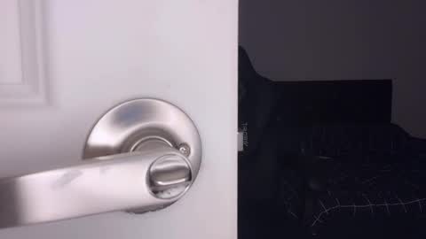 Aya online show from 7, 3, 2026