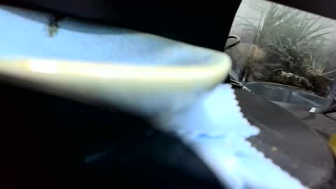 b1234567893 online show from 26, 4, 2026