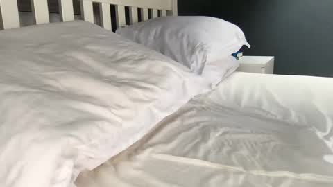 b1gd0ng1111 online show from 17, 9, 2025