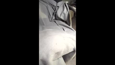 b4db0y online show from 7, 3, 2026