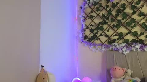  Dani  online show from 10, 3, 2025