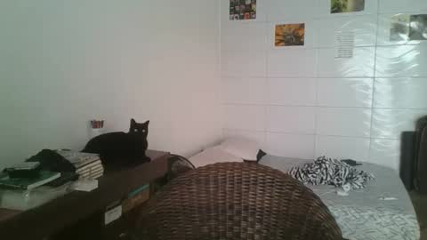 babydemon6 online show from 14, 11, 2025