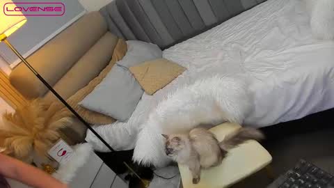 ASK ME IN PM online show from 27, 10, 2025