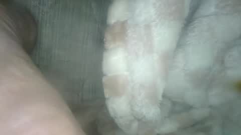 Snapshot of babyxxxangel chatting on 19, 12, 2024 babyxxxangel online show from 19, 12, 2024