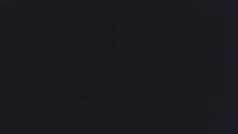 Snapshot of backchat14 chatting on 1, 11, 2025 backchat14 online show from 1, 11, 2025