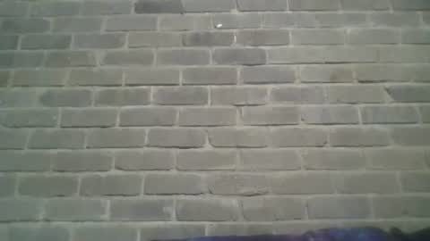 Chaterlain online show from 5, 1, 2025