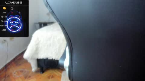 IM BAILEY online show from 17, 2, 2025