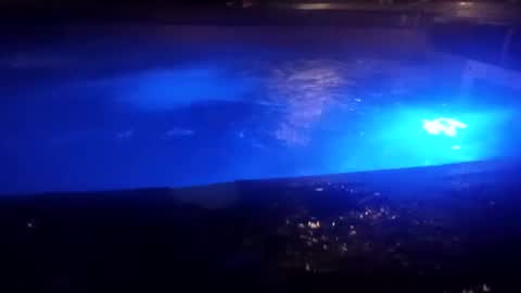 Snapshot of bakerbeachismygig chatting on 9, 12, 2024 bakerbeachismygig online show from 9, 12, 2024