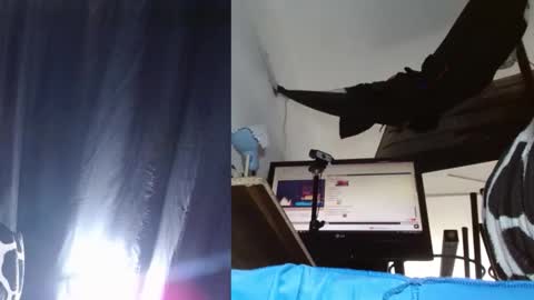 bambam online show from 24, 11, 2025