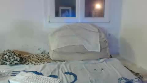 bambino6060 online show from 2, 12, 2024