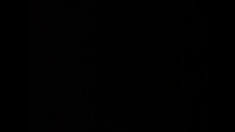 Snapshot of barbarosarslanlar chatting on 20, 9, 2025 barbarosarslanlar online show from 20, 9, 2025