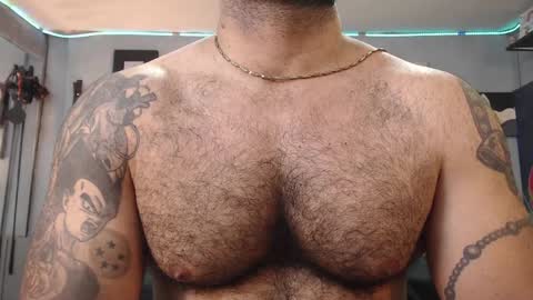 bardock online show from 1, 2, 2025