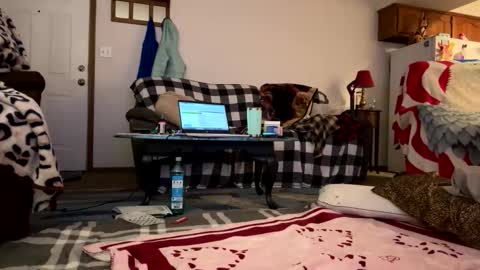Snapshot of barelybehavedbarbie chatting on 23, 4, 2026 barelybehavedbarbie online show from 23, 4, 2026