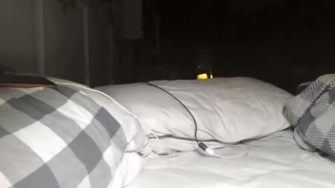 Snapshot of barkeeemark chatting on 24, 3, 2026 nevametafreaklikemeb4 online show from 24, 3, 2026